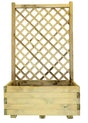 COMPOSIZIONE MARGHERITA CM 80x40X135 H.