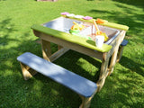 PIC NIC SPLASH
