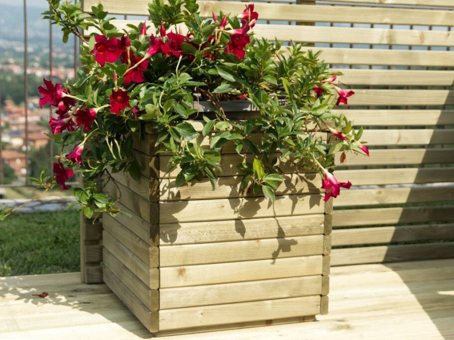 FIORIERA CAMELIA CM 50x50x50h